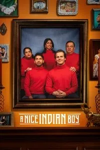 Download A Nice Indian Boy (2025) Dual Audio {Hindi-English} WEB-DL 480p [400MB] || 720p [950MB] || 1080p [2.1GB]