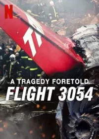 Download A Tragedy Foretold: Flight 3054 (Season 1) Dual Audio {English-Portuguese} WeB-DL 720p [400MB] || 1080p [1GB]
