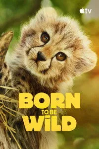 Download Born to Be Wild (Season 1) (English Audio) Msubs Web-Dl 720p [300MB] || 1080p [700MB]