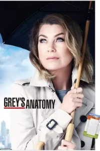 Download Grey’s Anatomy (Season 1-22) [S22E09 Added] {English With Subtitles} 720p Bluray [280MB] || 1080p [1GB]