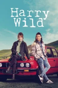 Download Harry Wild (Season 1-4) [S03E06 Added] {English Audio With Subtitles} WeB-DL 720p [350MB] || 1080p [900MB]