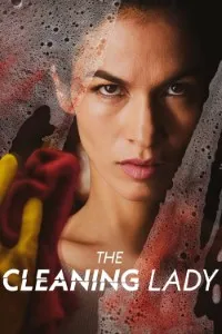 Download The Cleaning Lady (Season 1-4) [S04E12 Added] {English Audio With Esubs} WeB-DL 720p [220MB] || 1080p [840MB]