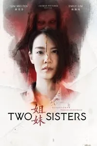 Download Two Sisters (2019) Dual Audio {Hindi-Chinese} WEB-DL 480p [274MB] || 720p [810MB] || 1080p [2.1GB]