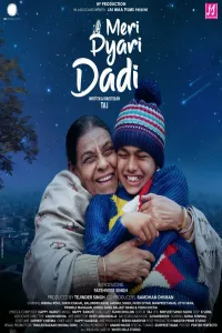 Download Meri Pyari Daadi (2025) Punjabi Movie WEB-DL || 480p [400MB] || 720p [900MB] || 1080p [2GB]