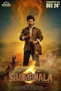 Download Shambhala (2025) Dual Audio (Hindi-Telugu) Movie WEB-DL || 480p [500MB] || 720p [1.3GB] || 1080p [3GB]